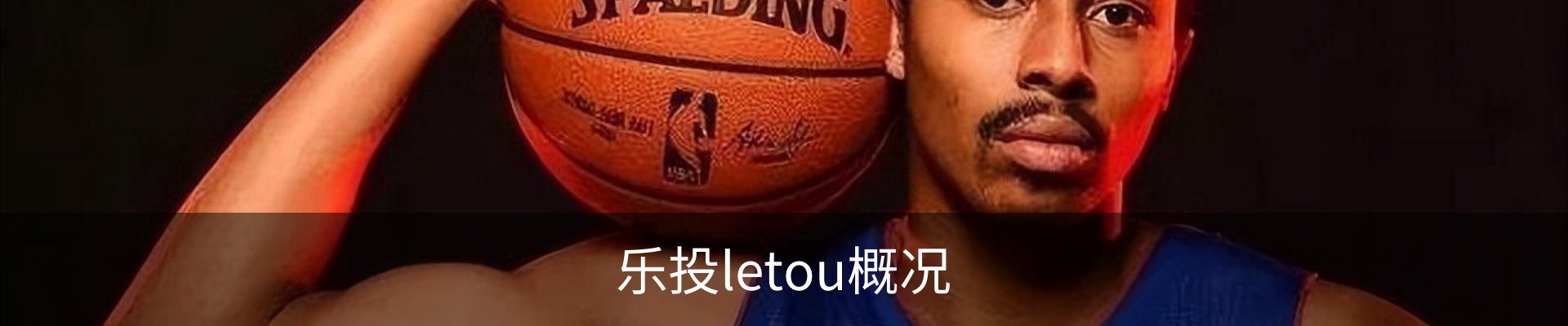 乐投letou概况